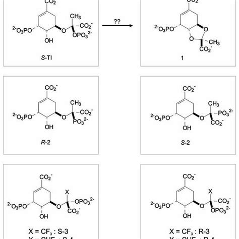 Equilibrium-ordered mechanism of EPSP Synthase (Modified from [85 ...