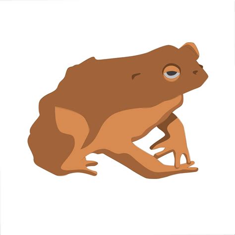 Toad Color Clipart Vector Illustration Design 3235674 Vector Art at Vecteezy