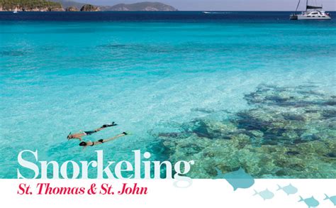 Snorkeling: St. Thomas + St. John - Virgin Islands This Week