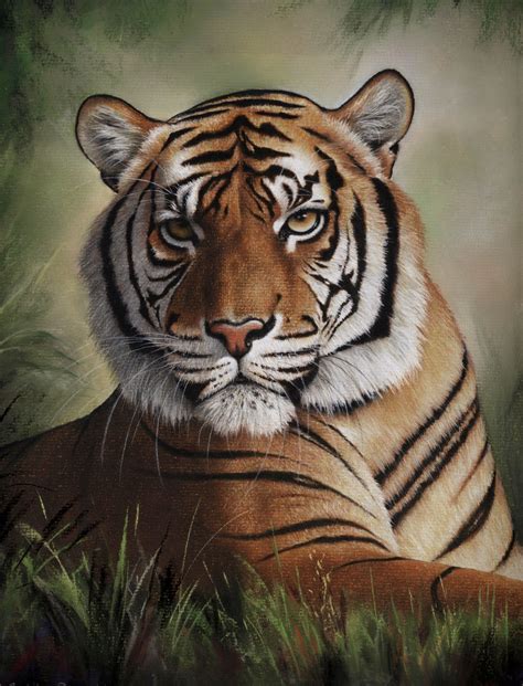 Amazing Tiger Portrait by Artist Colin Bradley. Medium: Pastel Pencils ...