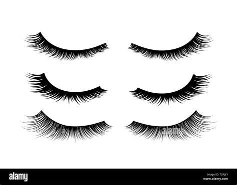 Very detailed eyelashes Stock Vector Images - Alamy
