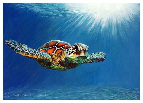 Frisch Nice Sea Turtle Painting - Home Inspiration