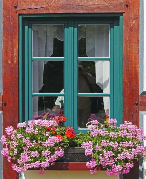 Free picture: window, house, wall, art, paint, facade