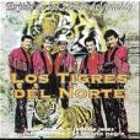 Stream Corridos Perrones Los Tigres Del Norte by Dj Caralista | Listen ...