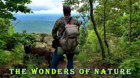 The Wonders Of Nature - YouTube