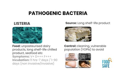 Guidance for the Control of Listeria monocytogenes in Food Manufacture - Food Safety Blog - Food ...