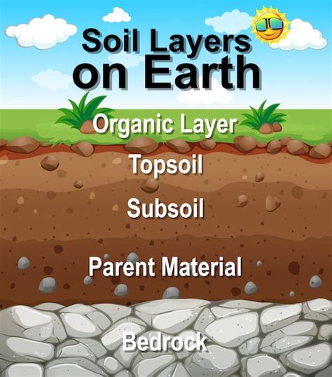 Free Vector | Poster for soil layers on earth