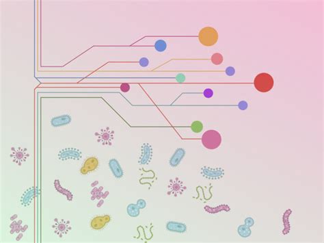 16S rRNA: Gene, Sequencing and Importance – Genetic Education