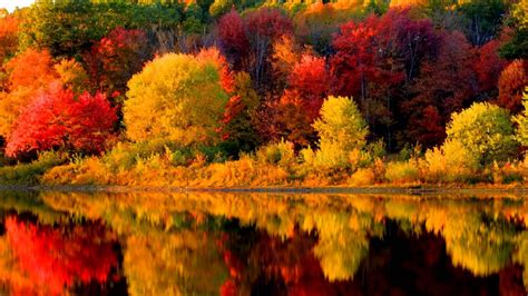 Autumn in New England