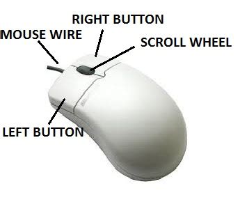 Mechanical Mouse Parts With Names