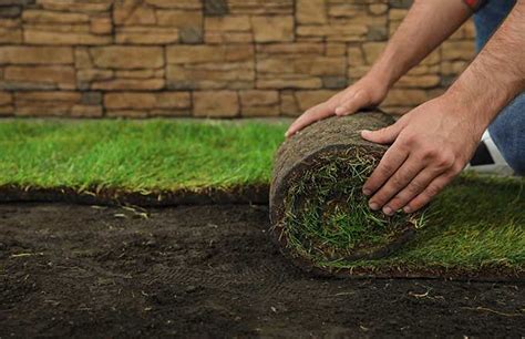 Sod Installation & Irrigation System Brooklyn | Dependable Lawn Care