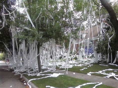 Huge Toilet Paper prank on a home in Pleasant Ridge (11 pics ...