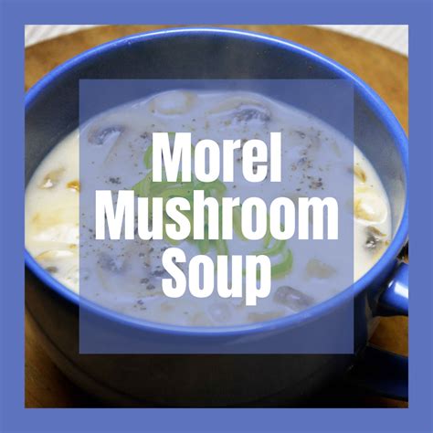 Morel Mushroom Soup - MICHIGAN GROWN. MICHIGAN GREAT.