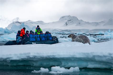 Best Antarctica Cruise Deals & Discounts - 7 Tips to Save Now