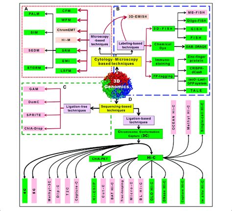 | An overview of 3D genomics techniques. The techniques can be broadly... | Download Scientific ...