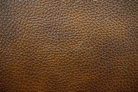 Sofa Leather Texture Seamless