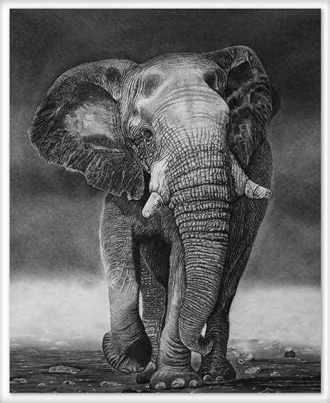 Realistic elephant Drawing Prints | Etsy