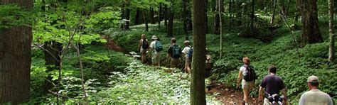 Hiking & Walking | Western Massachusetts Scenic Byways