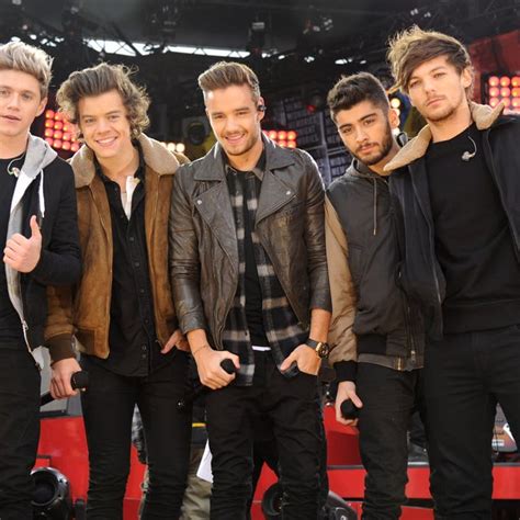 One Direction Fans Freak Out Over Ticketmaster Reunion Concert Date Listing