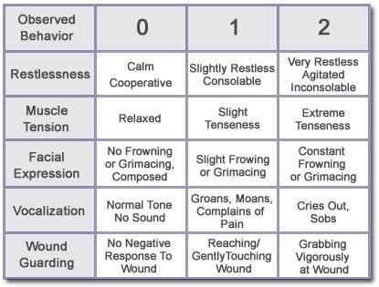 Nonverbal observation scale