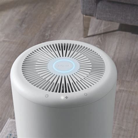 HEPA Air Purifier | Washable Filter & Ionizer | For Large Rooms – NOMA