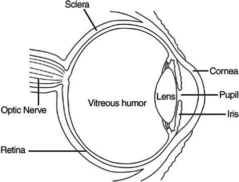 eye diagram 2