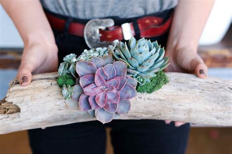 30 Great Tiny Planters You Can Make Yourself