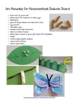 Bulletin Board: Butterfly Metamorphosis (Craft Activity, Art) | TpT