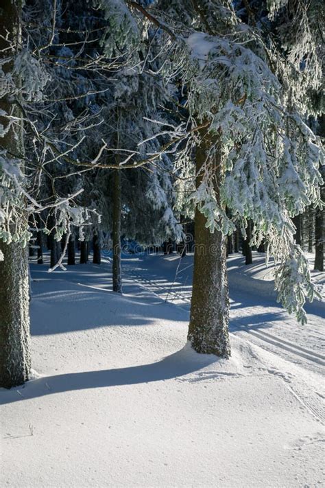 Winter Landscape Thuringian Forest, Oberhof, Rennsteig Stock Image ...