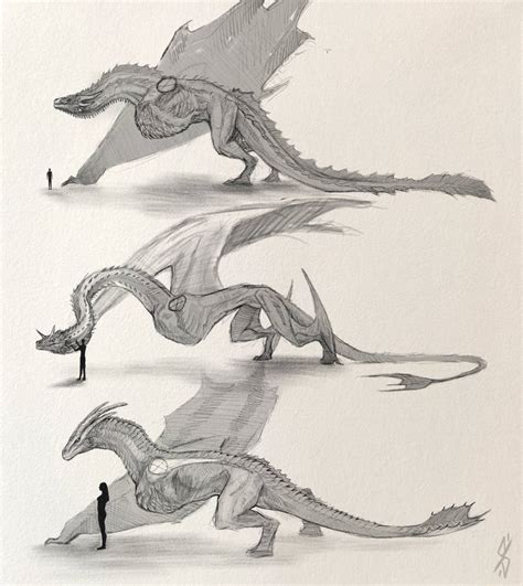 Dragon anatomy by sioSIN on DeviantArt