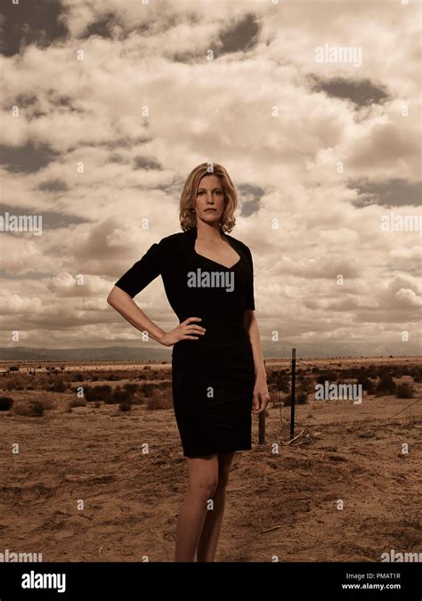 Skyler White (Anna Gunn) - Breaking Bad Season 5B Gallery - Photo ...