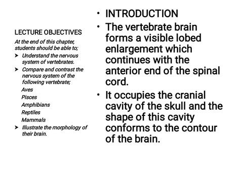 SOLUTION: Comparative anatomy of the brain - Studypool