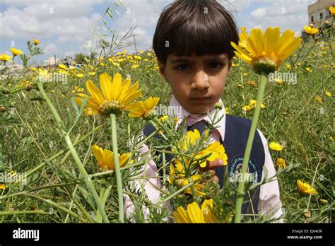 Khan Younis, Gaza Strip, Palestinian Territory. 22nd Mar, 2015. A Palestinian child picks wild ...