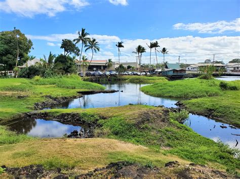 Kuhio Kalanianaole Park, Hilo - Hawaii Beaches