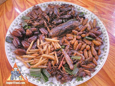 Thai Insects - Popular Snack Food in Thailand - ImportFood.com