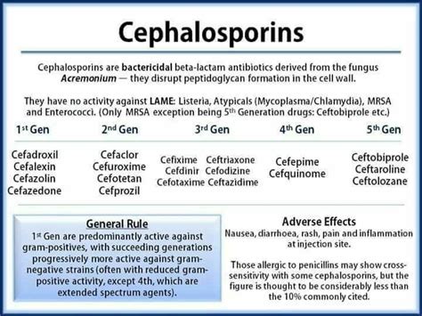 Cephalosporins