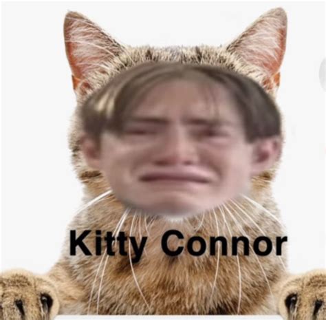 Connor, Funny Reaction Pictures, Funny Pictures, Alice Book, Kit Kat, Free Therapy, Future ...