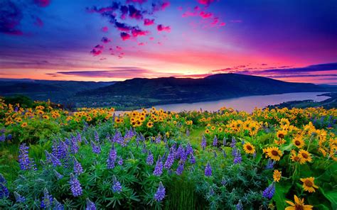 Nature Landscape Yellow Flowers And Blue Mountain Lake Hills Red Cloud ...