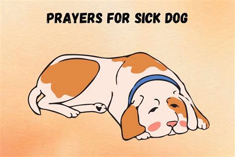 Powerful & Miracle Healing Prayers for Your Sick Dog | Spiritual Posts