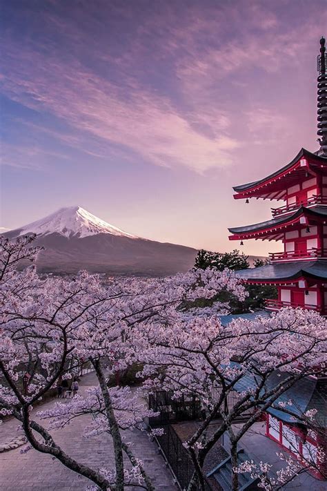 Nature Japan, Japanese Scenic HD phone wallpaper | Pxfuel