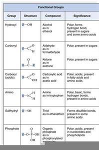 Sulfhydryl Group Examples | Free Images at Clker.com - vector clip art online, royalty free ...