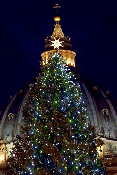 St. Peter's Square in Vatican City | Christmas tree light up, Christmas tree, Christmas