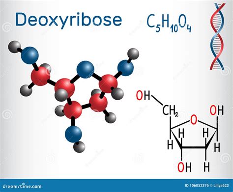 Deoxyribose Molecule, it is a Monosaccharide Deoxy Sugar, Stock Vector - Illustration of chiral ...