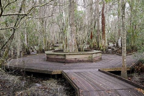 Jean Lafitte National Historical Park and Preserve - Park Ranger John