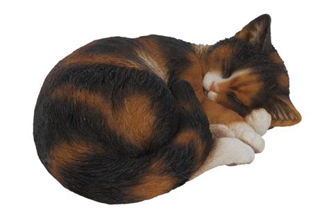 Vivid Sleeping Tortoiseshell Cat - Resin Garden Ornament - £22.99 ...