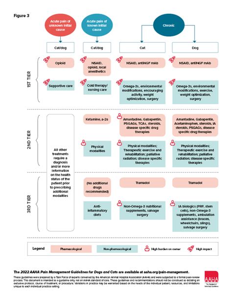 Acute vs. Chronic Pain