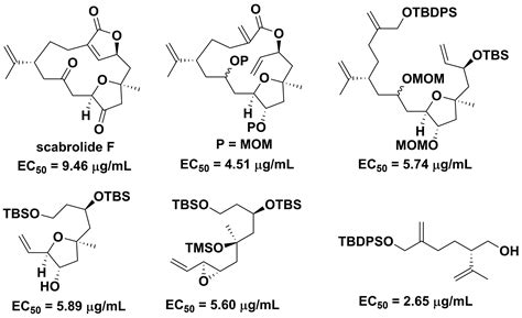 Toward non-toxic antifouling agents: A novel method for total synthesis of scabrolide F