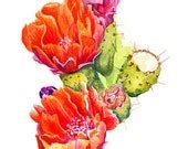 Prickly Pear Cactus Watercolor Digital Download by SetterPress