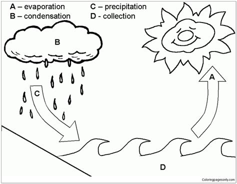 Printable Water Cycle Coloring Sheet