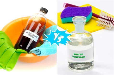 Cleaning with Apple Cider Vinegar vs. White Vinegar